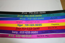 Load image into Gallery viewer, 1 Have A Name Embroidered On Your Webbing Leash