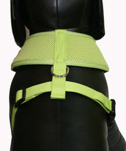Load image into Gallery viewer, Soft Mesh Pet Harness-Lime Green