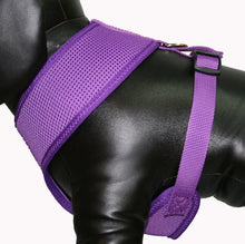 Load image into Gallery viewer, Soft Mesh Pet Harness-Purple