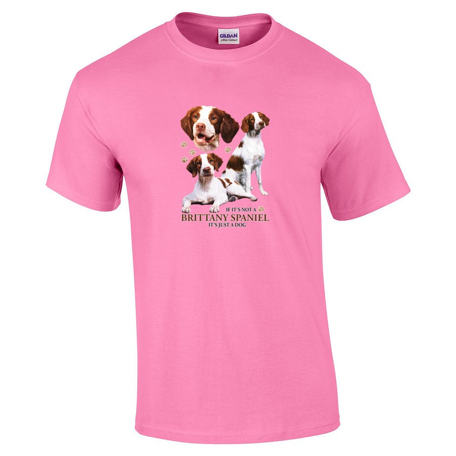 Brittany Spaniel Shirt