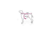 Load image into Gallery viewer, Embroidery Baby Blue Dog Shirt