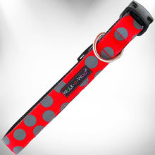 Load image into Gallery viewer, Polka Dot Dog Collars, Leads and Bows on Red - 3 Styles