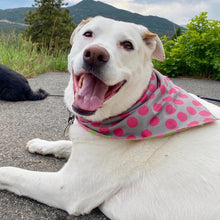 Load image into Gallery viewer, Sport Bandana - Green/Pink/Grey