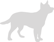 Load image into Gallery viewer, 32oz Engraved Hydro Water Bottle Dog Breed or Paw Dog Breeds A-B