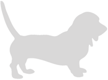Load image into Gallery viewer, 32oz Engraved Hydro Water Bottle Dog Breed or Paw Dog Breeds A-B