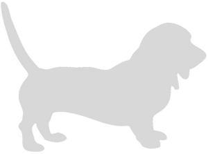 32oz Engraved Hydro Water Bottle Dog Breed or Paw Dog Breeds A-B