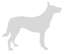 Load image into Gallery viewer, 32oz Engraved Hydro Water Bottle Dog Breed or Paw Dog Breeds A-B