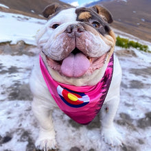 Load image into Gallery viewer, Sport Bandana - Colorado Mountains Pink