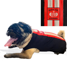 Load image into Gallery viewer, Royal Scoundrel Red Sport Fleece