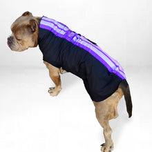 Load image into Gallery viewer, Royal Scoundrel Purple Sport Fleece