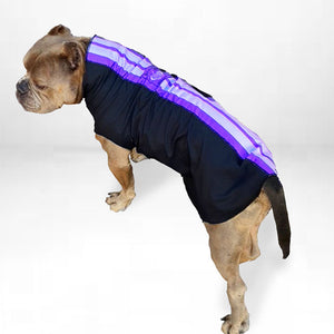 Royal Scoundrel Purple Sport Fleece