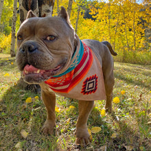 Load image into Gallery viewer, Sport Bandana - Turquoise Sky/Sky Fire