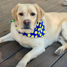 Load image into Gallery viewer, Sport Bandana - DOT Blue/Green/Yellow