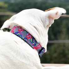 Load image into Gallery viewer, Lollipop Dog Collars, Leads, and Bows - 2 Styles