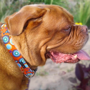 Martini Dog Collars, Leads, and Bows - 5 Styles