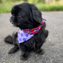 Load image into Gallery viewer, Sport Bandana - Purple Dots/Daisies