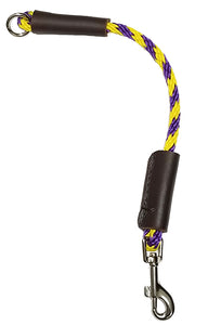 1/4" Solid Braid (Round) Dog Training Tab Purple/Yellow Spiral
