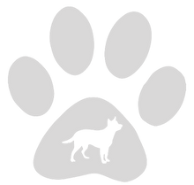Load image into Gallery viewer, 32oz Engraved Hydro Water Bottle Dog Breed or Paw Dog Breeds A-B