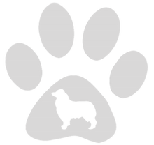 Load image into Gallery viewer, 32oz Engraved Hydro Water Bottle Dog Breed or Paw Dog Breeds A-B