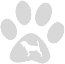 Load image into Gallery viewer, 32oz Engraved Hydro Water Bottle Dog Breed or Paw Dog Breeds A-B