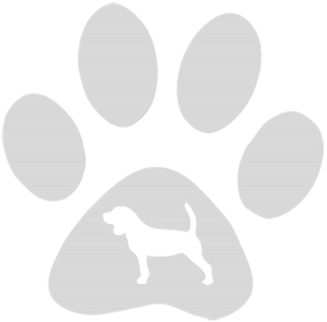 32oz Engraved Hydro Water Bottle Dog Breed or Paw Dog Breeds A-B