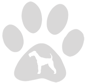 32oz Engraved Hydro Water Bottle Dog Breed or Paw Dog Breeds A-B