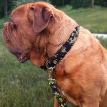 Load image into Gallery viewer, Camo Dog Collars, Leads, and Bows - 3 Styles