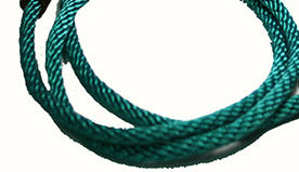 1/4 Solid Braid (Round) Long Line / Check Cord Teal
