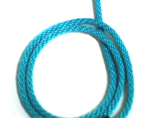 1/4 Solid Braid (Round) Long Line / Check Cord Turquoise
