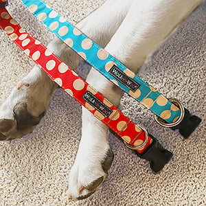 Polka Dot Dog Collars, Leads, and Bows - Tan Dots - 2 Styles