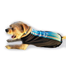 Load image into Gallery viewer, Turquoise Sky Sport Fleece