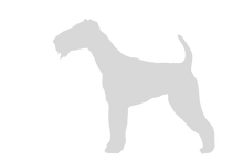 Load image into Gallery viewer, 32oz Engraved Hydro Water Bottle Dog Breed or Paw Dog Breeds A-B
