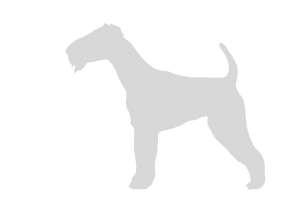 32oz Engraved Hydro Water Bottle Dog Breed or Paw Dog Breeds A-B