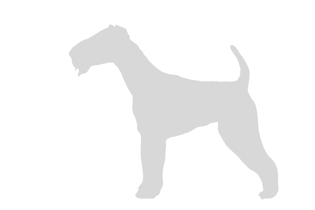 32oz Engraved Hydro Water Bottle Dog Breed or Paw Dog Breeds A-B