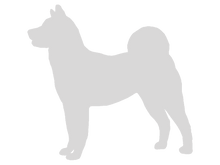 Load image into Gallery viewer, 32oz Engraved Hydro Water Bottle Dog Breed or Paw Dog Breeds A-B