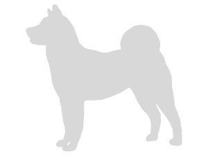 32oz Engraved Hydro Water Bottle Dog Breed or Paw Dog Breeds A-B