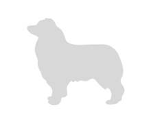 Load image into Gallery viewer, 32oz Engraved Hydro Water Bottle Dog Breed or Paw Dog Breeds A-B