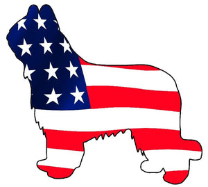 USA Briard Dog Decal