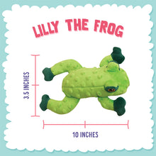 Load image into Gallery viewer, Lily The Frog