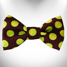 Load image into Gallery viewer, Polka Dot Dog Collars, Leads, and Bows on Brown - 4 Styles