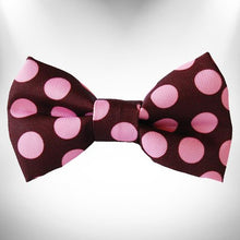 Load image into Gallery viewer, Polka Dot Dog Collars, Leads, and Bows on Brown - 4 Styles