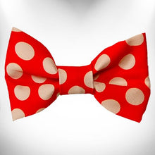 Load image into Gallery viewer, Polka Dot Dog Collars, Leads and Bows on Red - 3 Styles