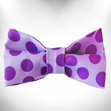 Load image into Gallery viewer, Polka Dot Dog Collars, Leads, and Bows - Monotone - 6 Styles