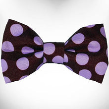 Load image into Gallery viewer, Polka Dot Dog Collars, Leads, and Bows on Brown - 4 Styles