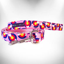 Load image into Gallery viewer, Colorado and Texas Dog Collars, Leads, and Bows - 5 Styles