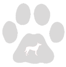 Load image into Gallery viewer, 32oz Engraved Hydro Water Bottle Dog Breed or Paw Dog Breeds A-B
