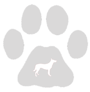 32oz Engraved Hydro Water Bottle Dog Breed or Paw Dog Breeds A-B