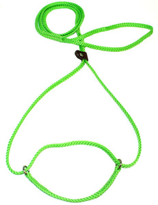 1/4" Flat Braid Martingale Style Lead Lime Green