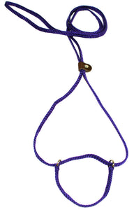 1/4" Flat Braid Martingale Style Lead Purple