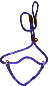 3/8" Solid Braid Martingale Style Lead Purple